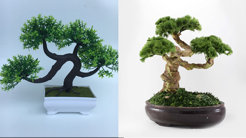 Những mẫu bonsai đẹp cho tết 2025